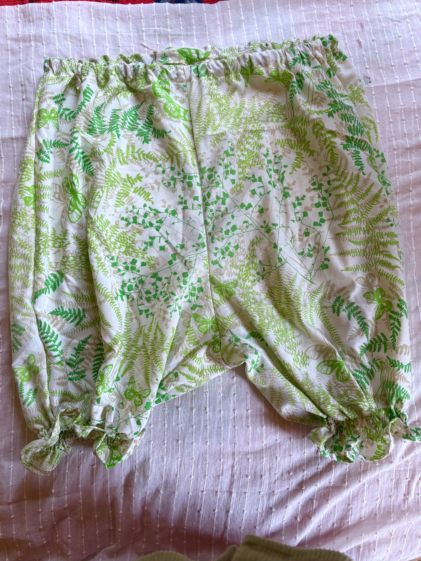 Fern Bloomers PLUS