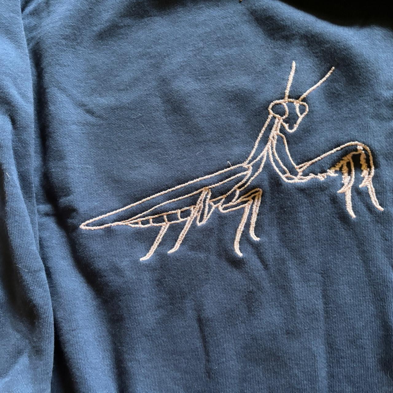 kids praying mantis